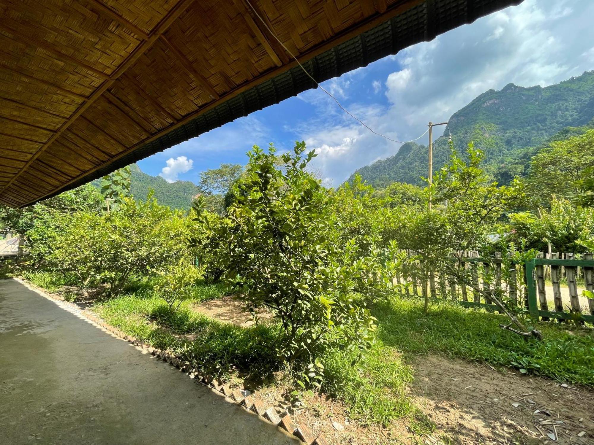 Nong Khiaw Ing Ing Mountain View Bed & Breakfast Eksteriør bilde